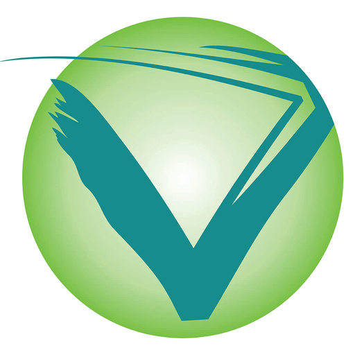 VIDAL HEALTHCARE Logo